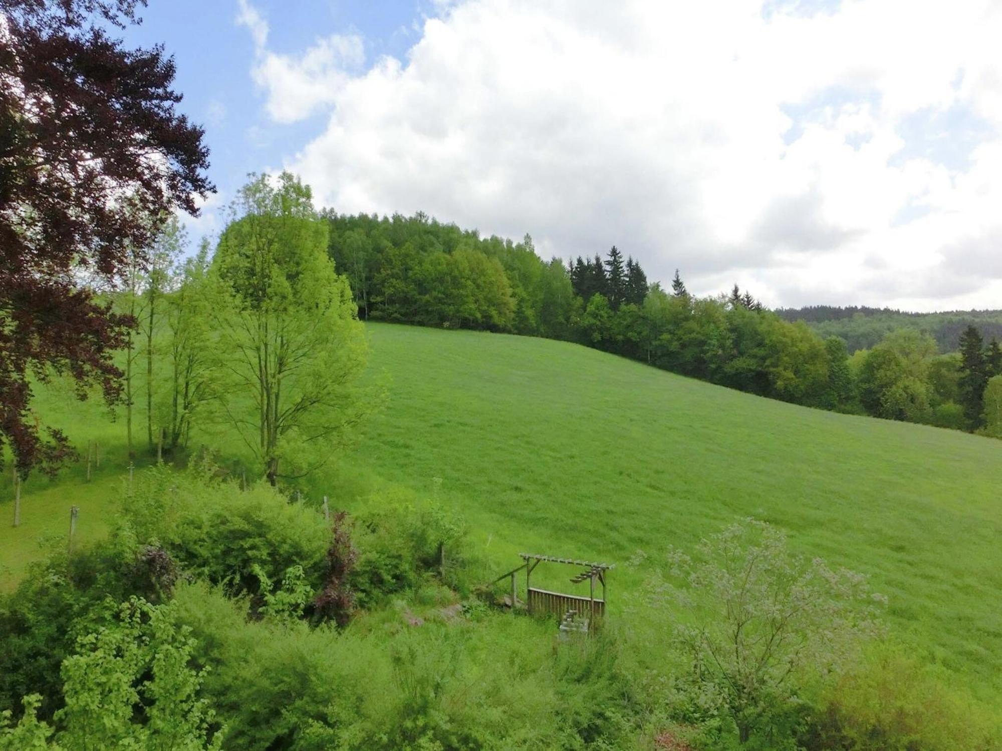 Alluring Villa In Grunhainichen Borstendorf With Garden Leubsdorf Екстериор снимка