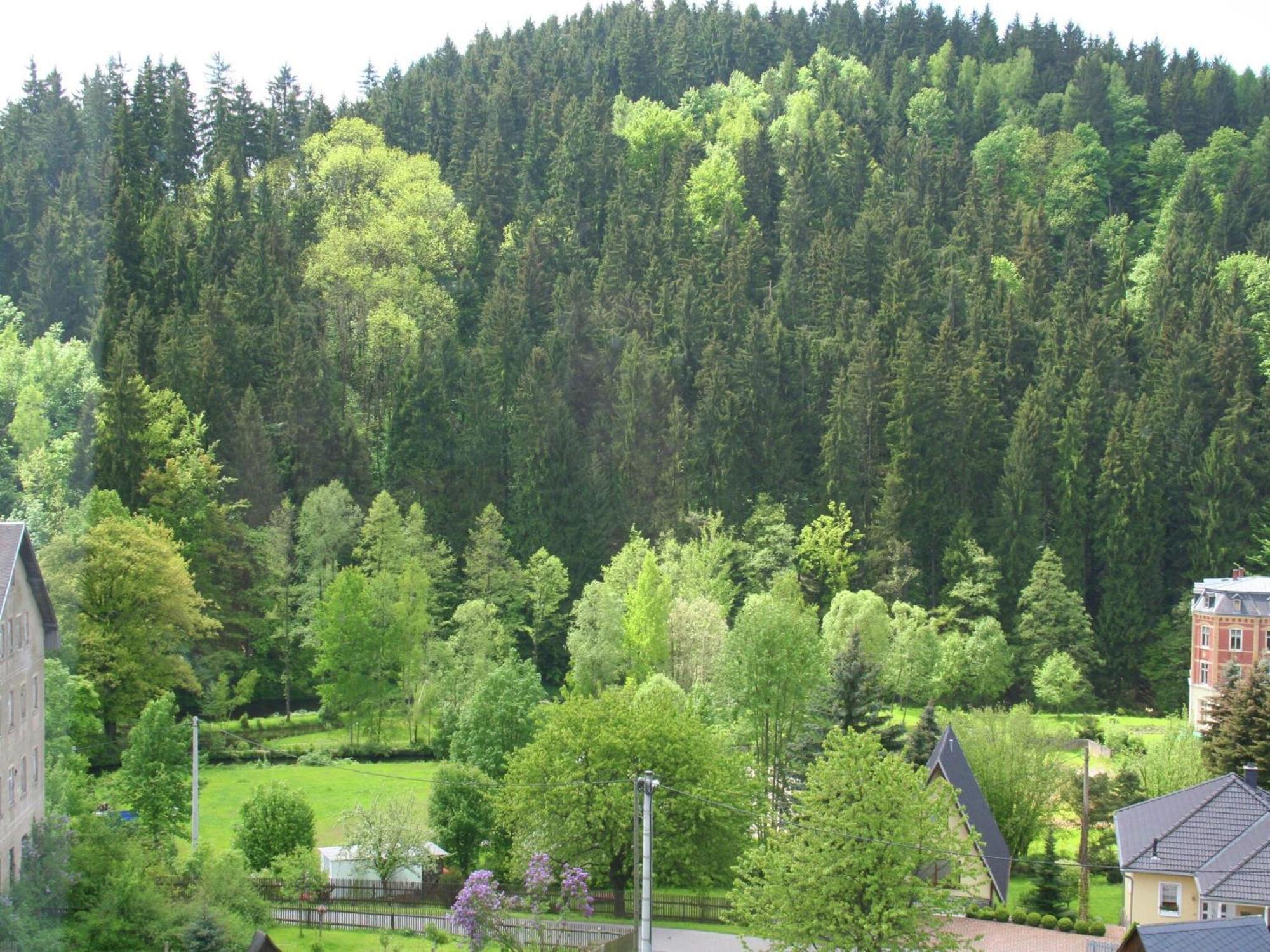 Alluring Villa In Grunhainichen Borstendorf With Garden Leubsdorf Екстериор снимка
