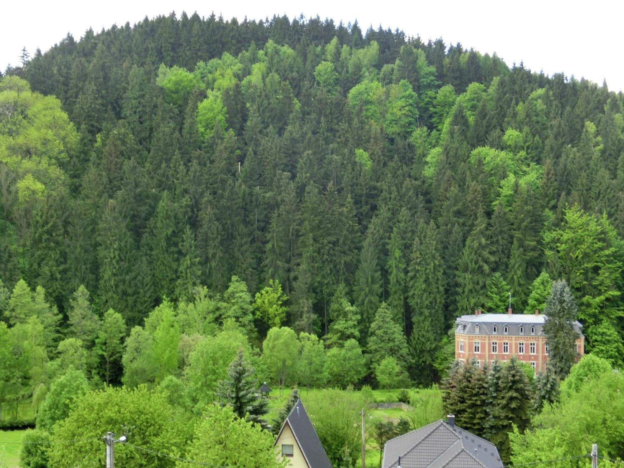 Alluring Villa In Grunhainichen Borstendorf With Garden Leubsdorf Екстериор снимка