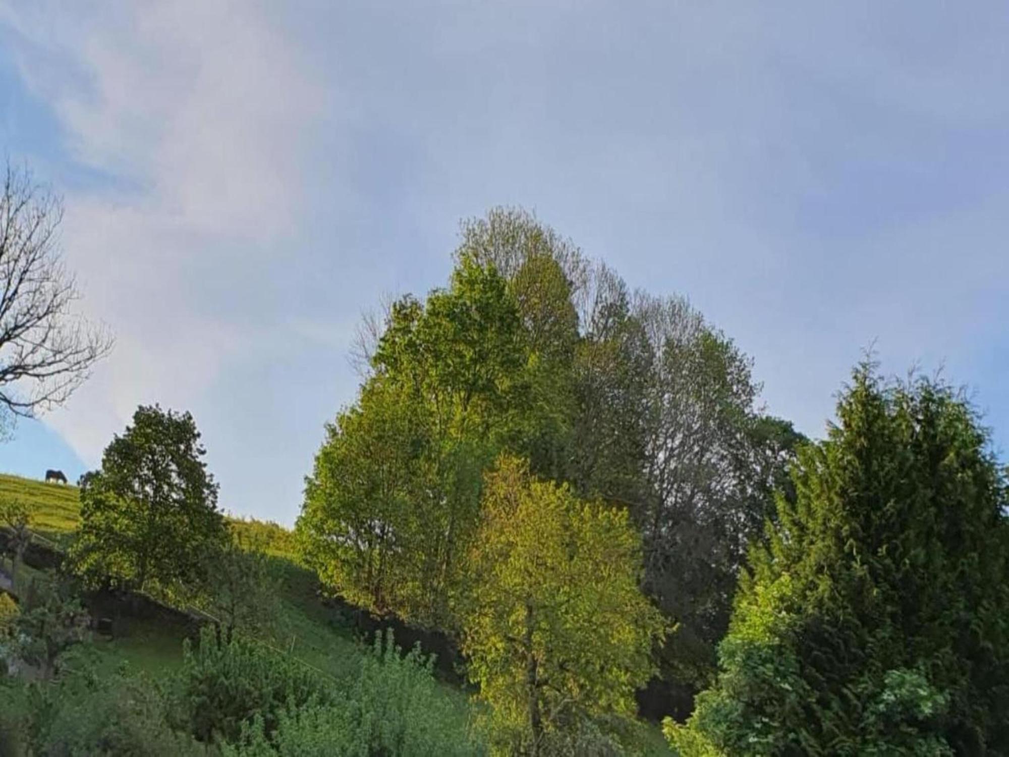 Alluring Villa In Grunhainichen Borstendorf With Garden Leubsdorf Екстериор снимка