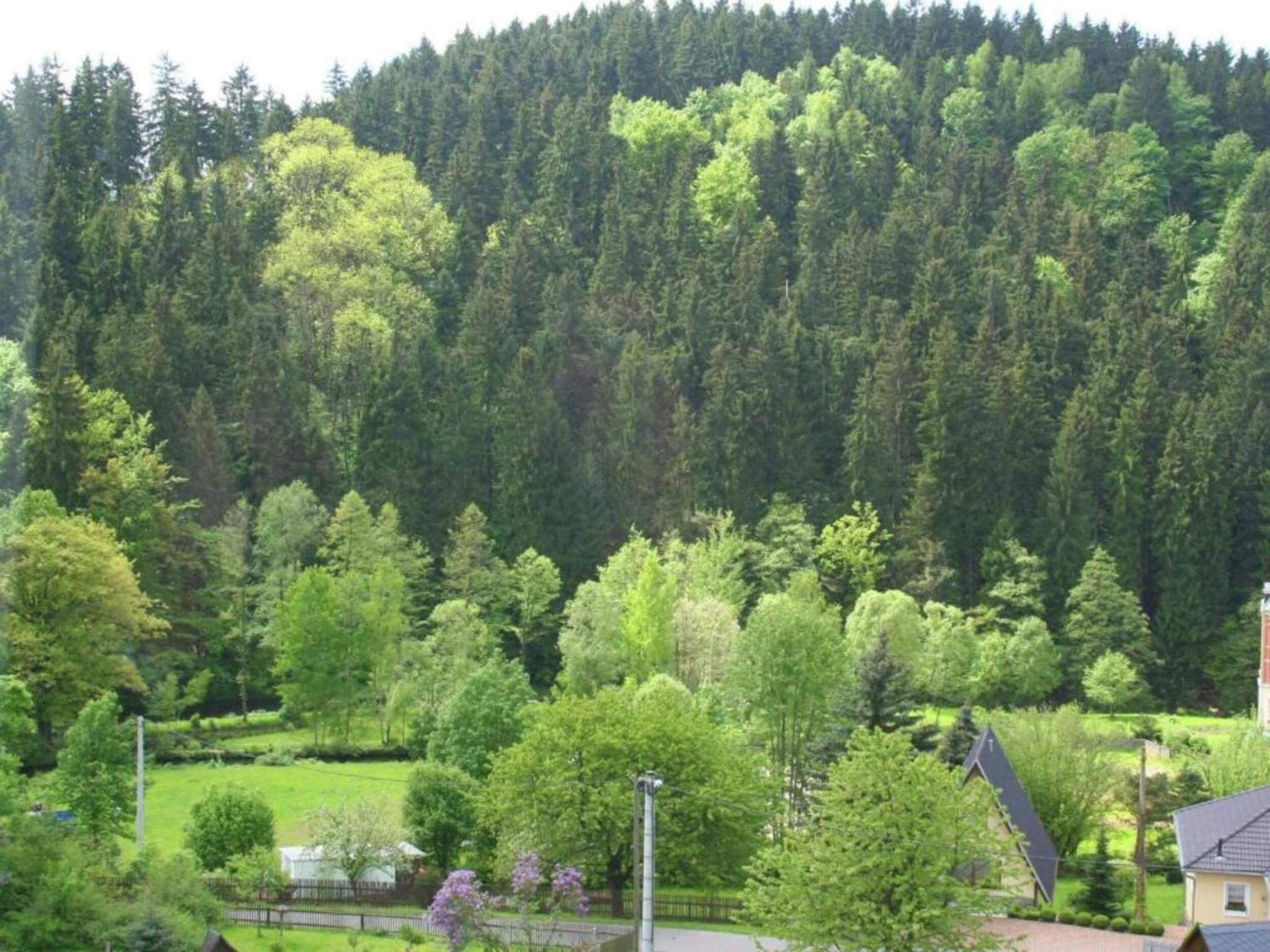 Alluring Villa In Grunhainichen Borstendorf With Garden Leubsdorf Екстериор снимка