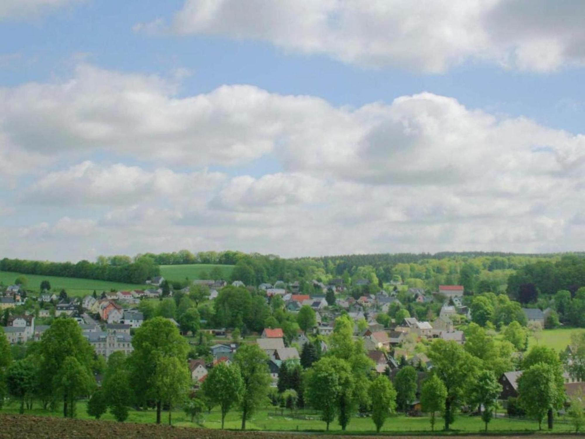 Alluring Villa In Grunhainichen Borstendorf With Garden Leubsdorf Екстериор снимка